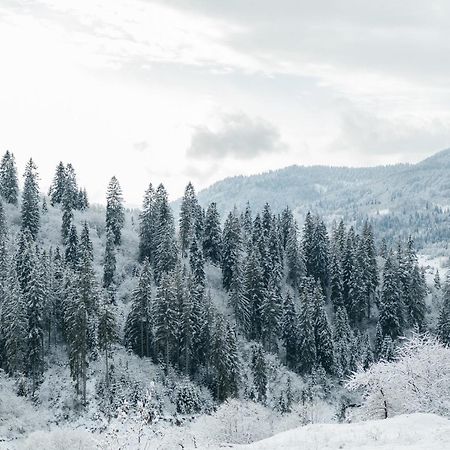 Казковий Дім Та Garden Два Будиночки В Горах З Чаном-Джакузі Slavsko Extérieur photo