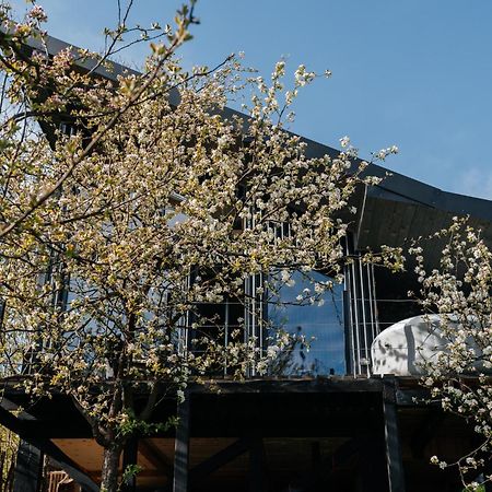 Казковий Дім Та Garden Два Будиночки В Горах З Чаном-Джакузі Slavsko Extérieur photo