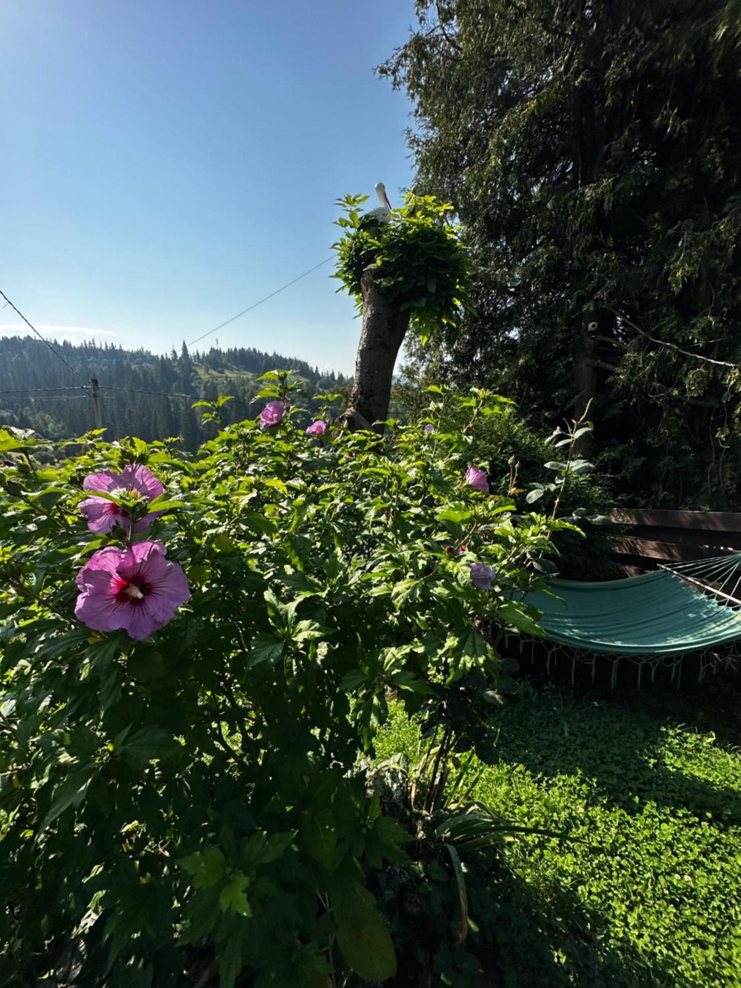Казковий Дім Та Garden Два Будиночки В Горах З Чаном-Джакузі Slavsko Extérieur photo
