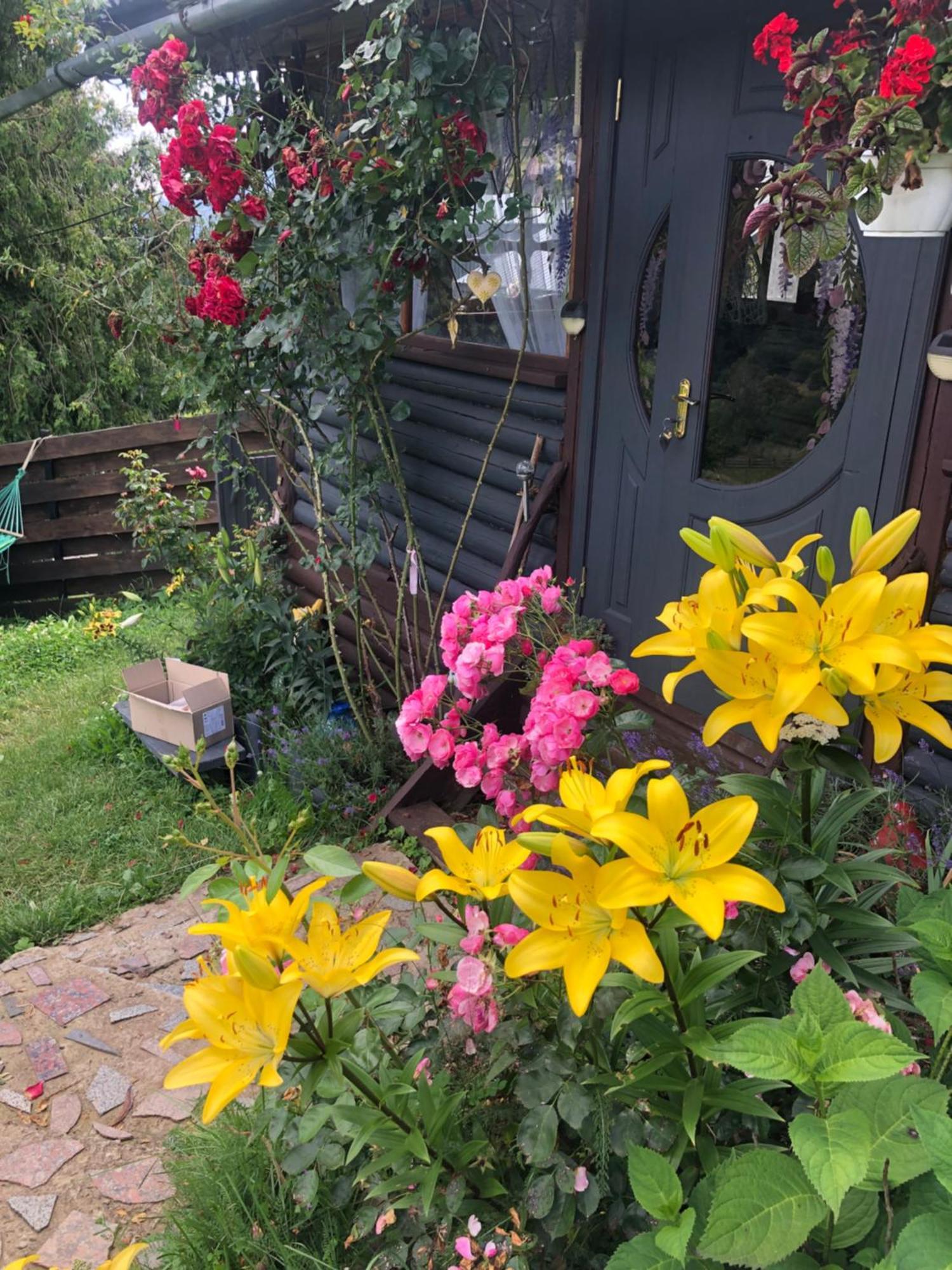 Казковий Дім Та Garden Два Будиночки В Горах З Чаном-Джакузі Slavsko Extérieur photo