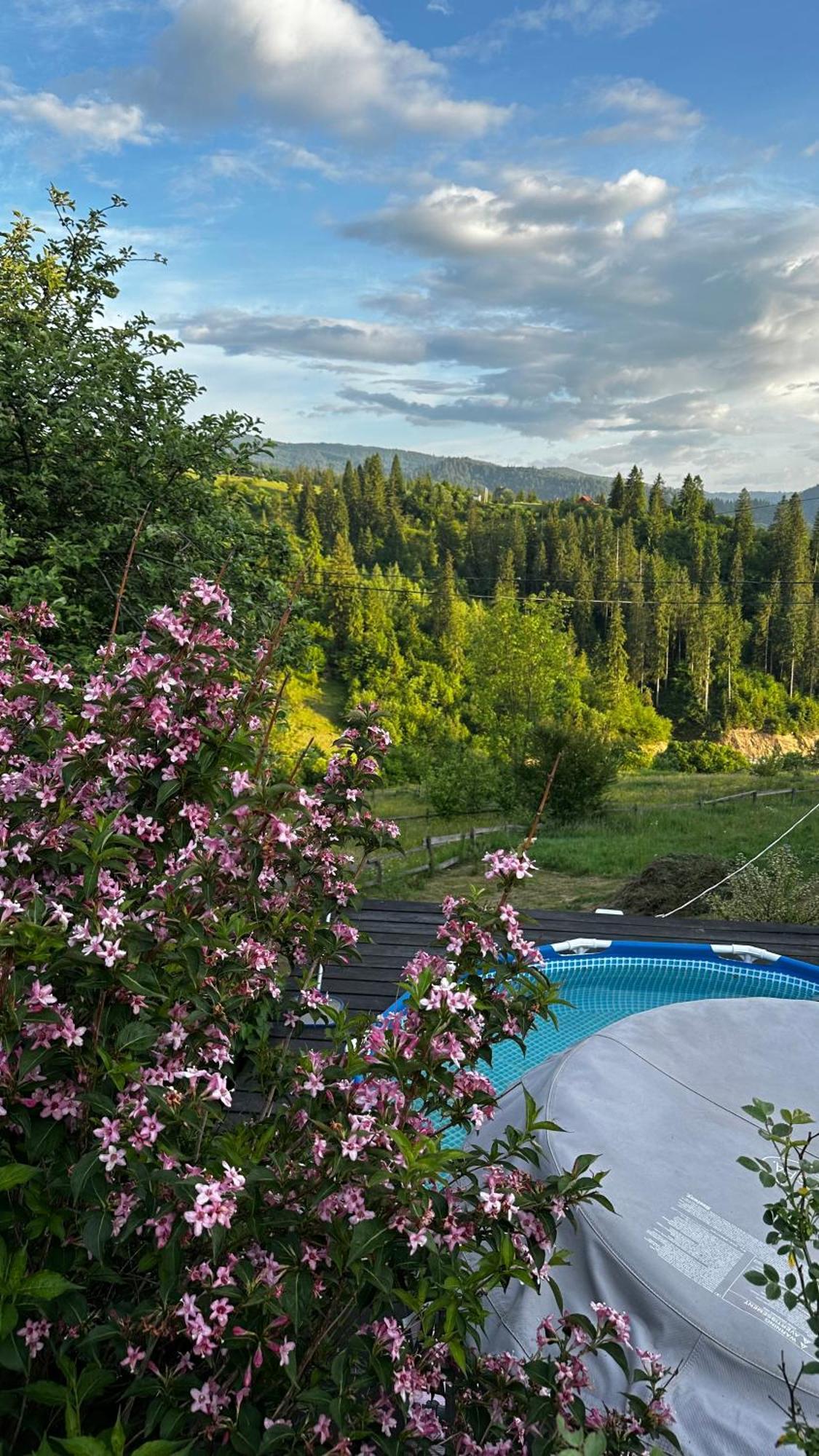 Казковий Дім Та Garden Два Будиночки В Горах З Чаном-Джакузі Slavsko Extérieur photo